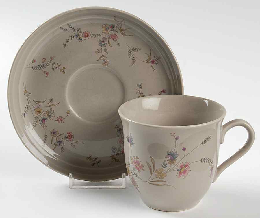 Rhapsody Flat Cup & Saucer Set by Mikasa-1
