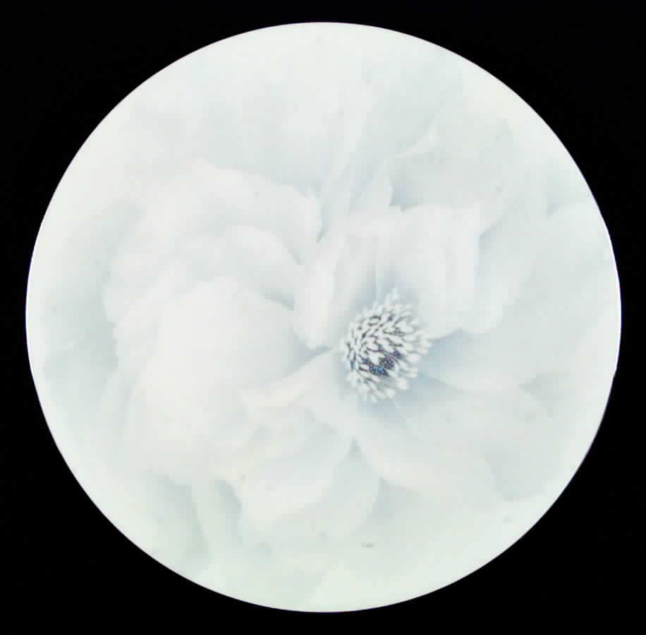 Romantica Dinner Plate by Mikasa-1