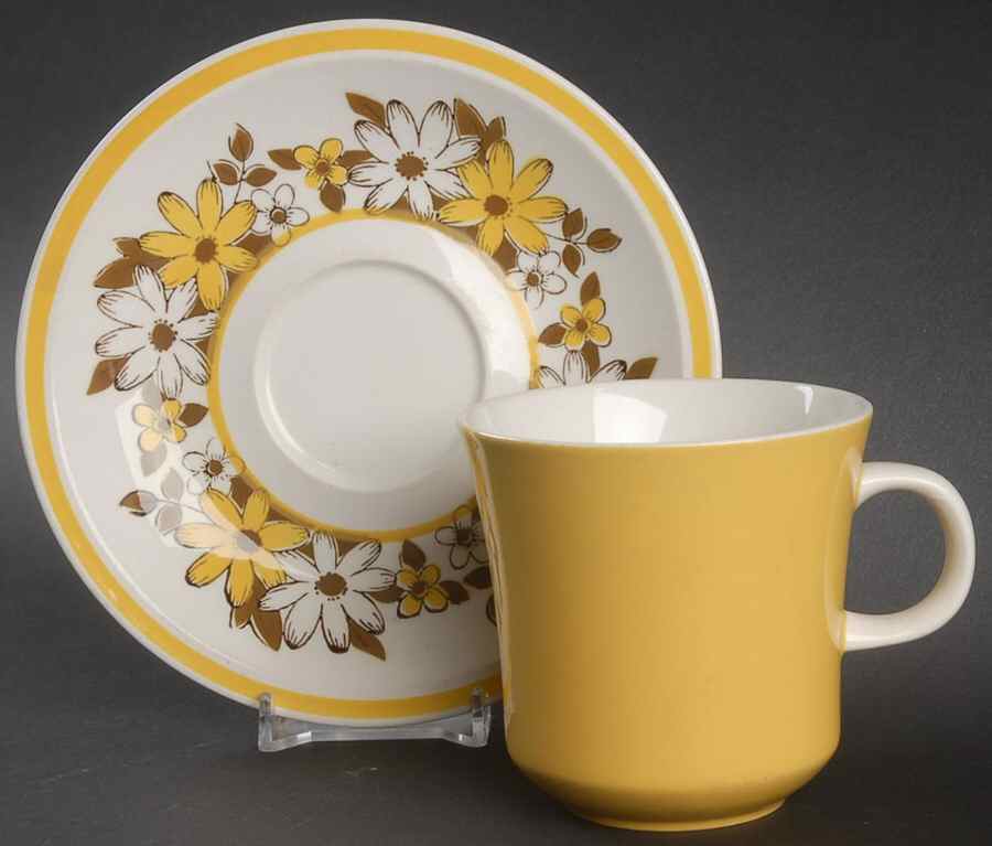 Sandra Flat Cup & Saucer Set by Mikasa-1