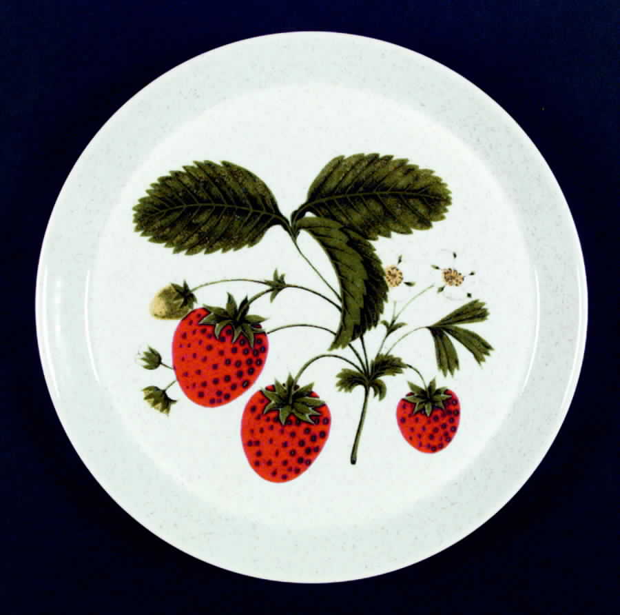 Scrumptious Dinner Plate by Mikasa-1