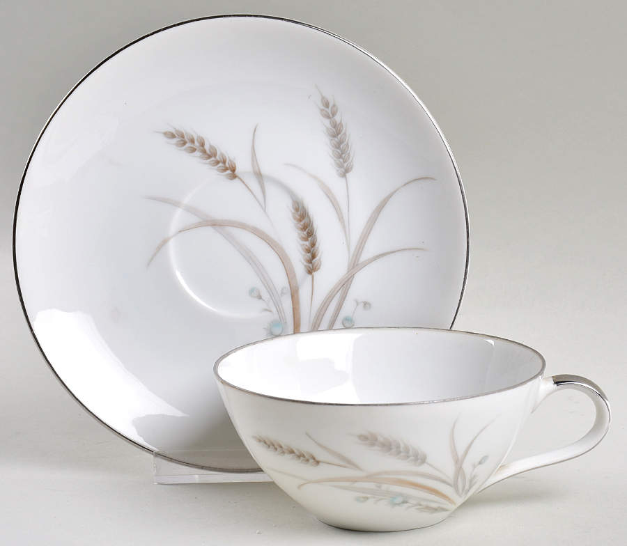 Sentinel Flat Cup & Saucer Set by Mikasa-1