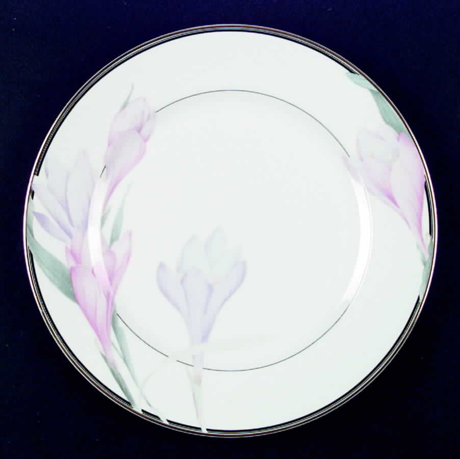 Shasta Dinner Plate by Mikasa-1
