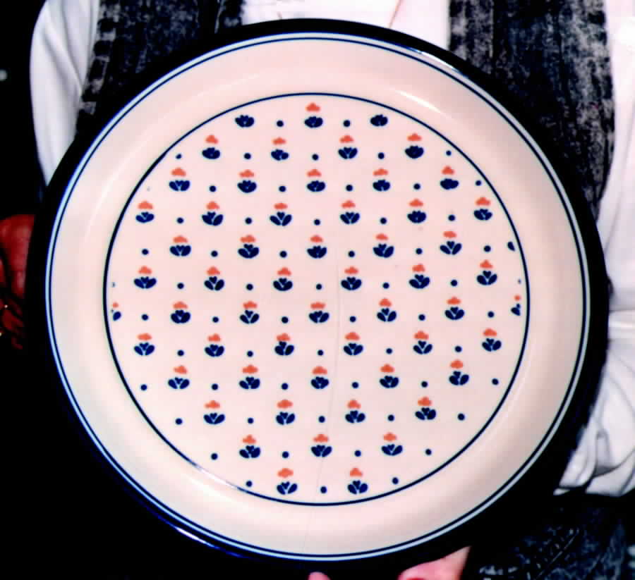Sheer Delight Dinner Plate by Mikasa-1