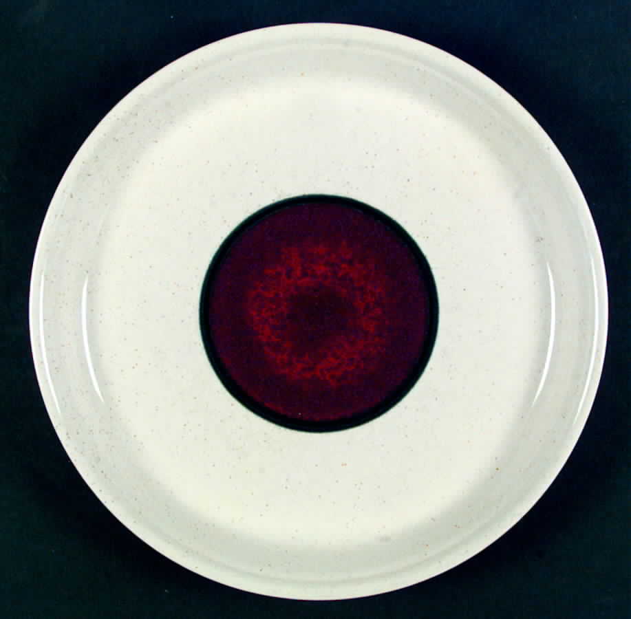 Shibui Dinner Plate by Mikasa-1