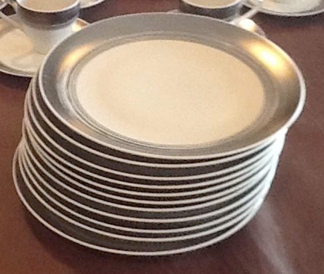Silver Halo Dinner Plate by Mikasa-1