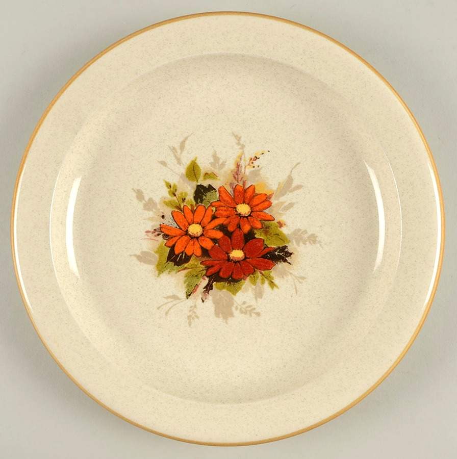 Sincerely Dinner Plate by Mikasa-1