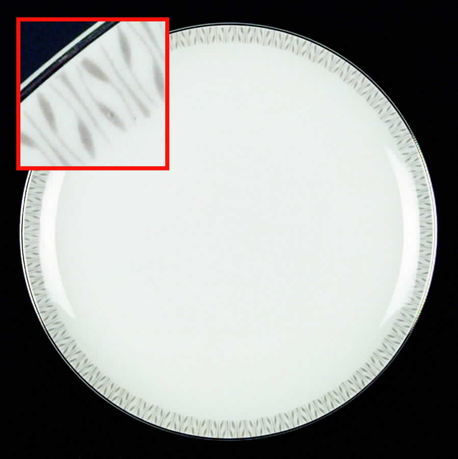 Smart Set Dinner Plate by Mikasa-1