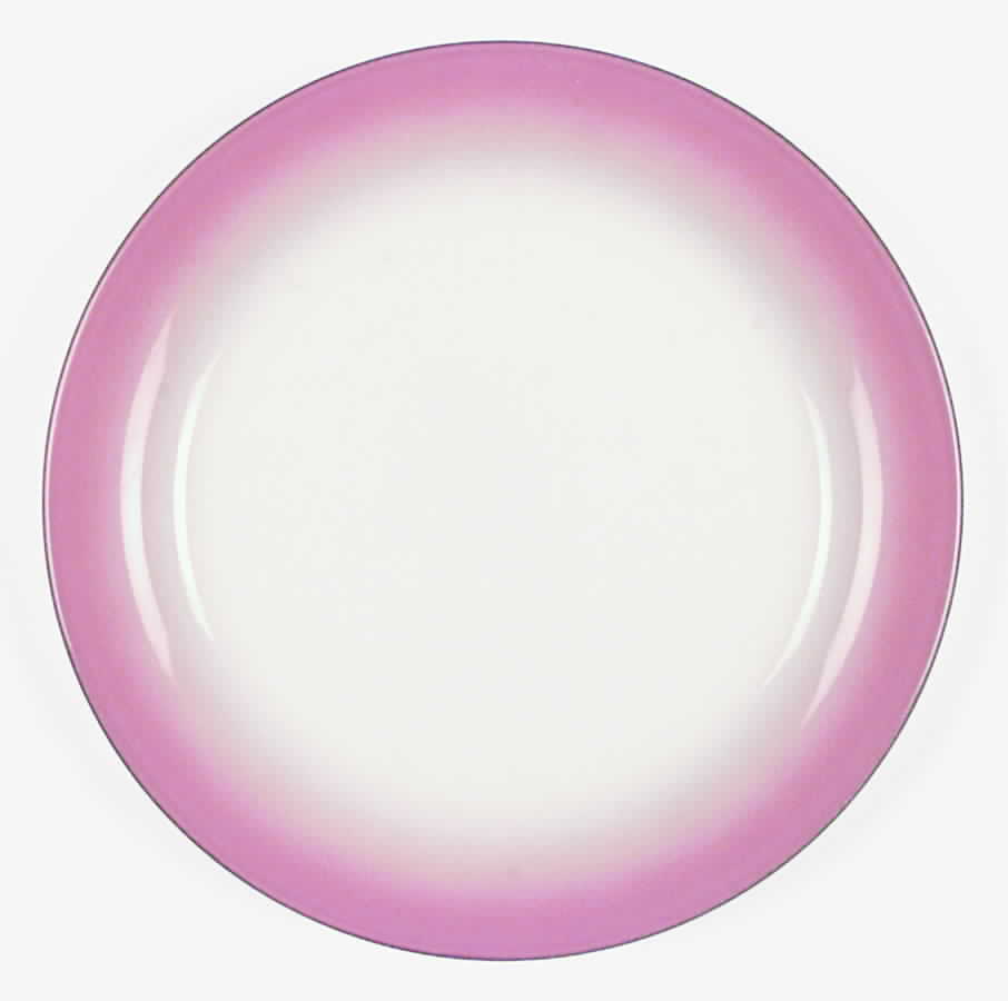 Smoked Salmon Dinner Plate by Mikasa-1
