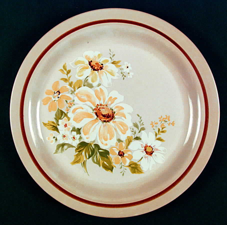 Soft Spoken Dinner Plate by Mikasa-1