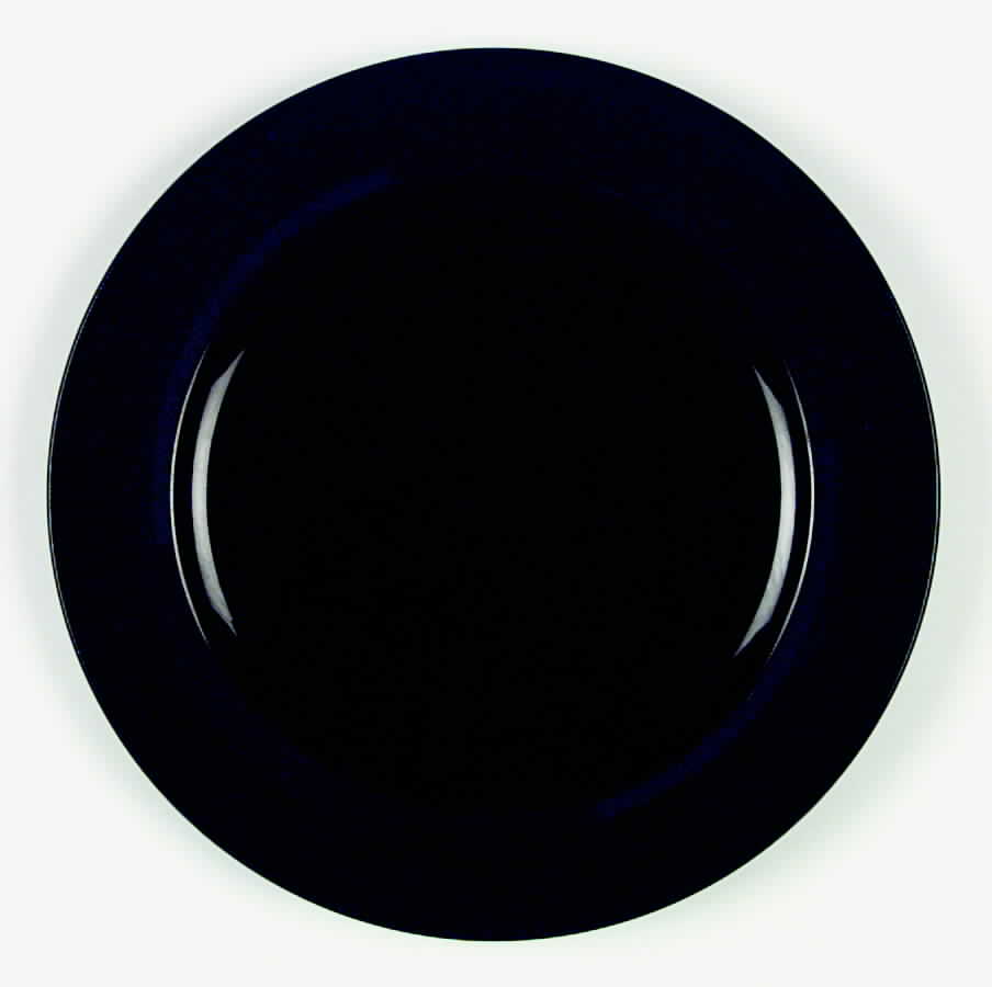 Spectra Black Dinner Plate by Mikasa-1