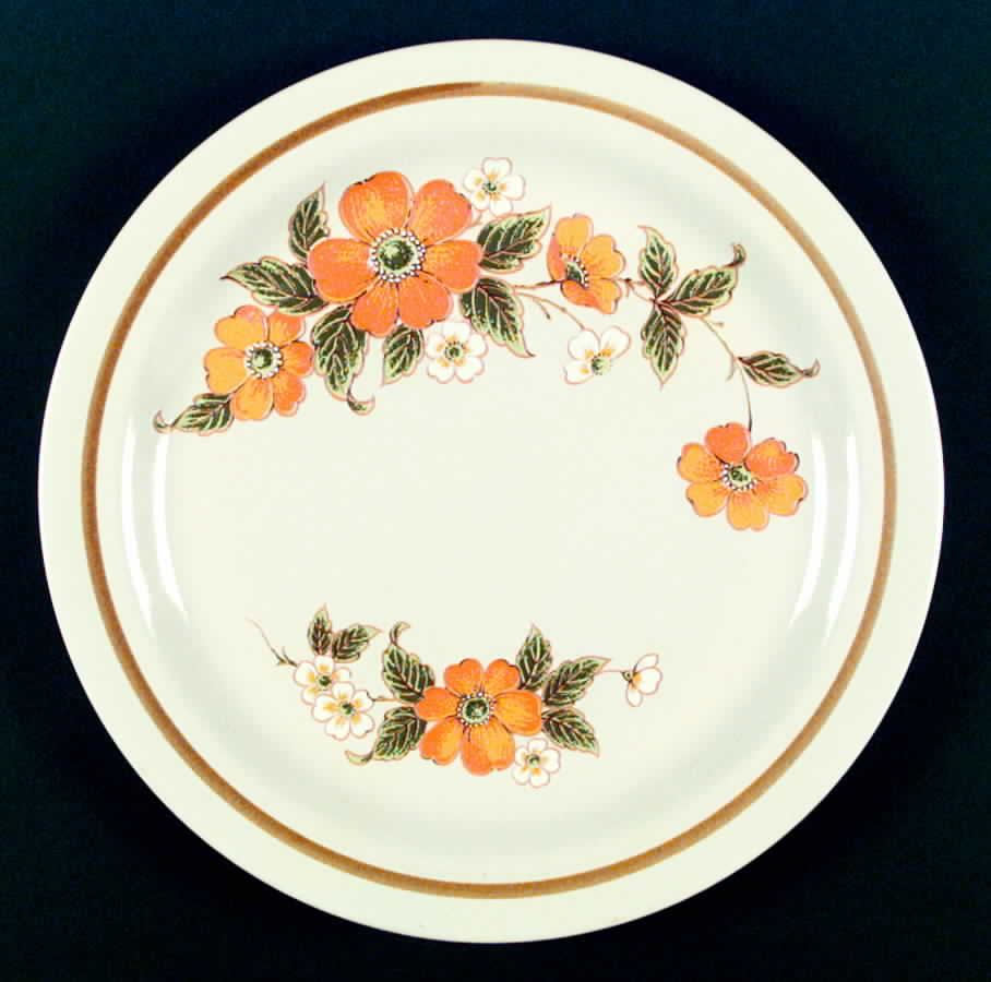 Splendrous Dinner Plate by Mikasa-1