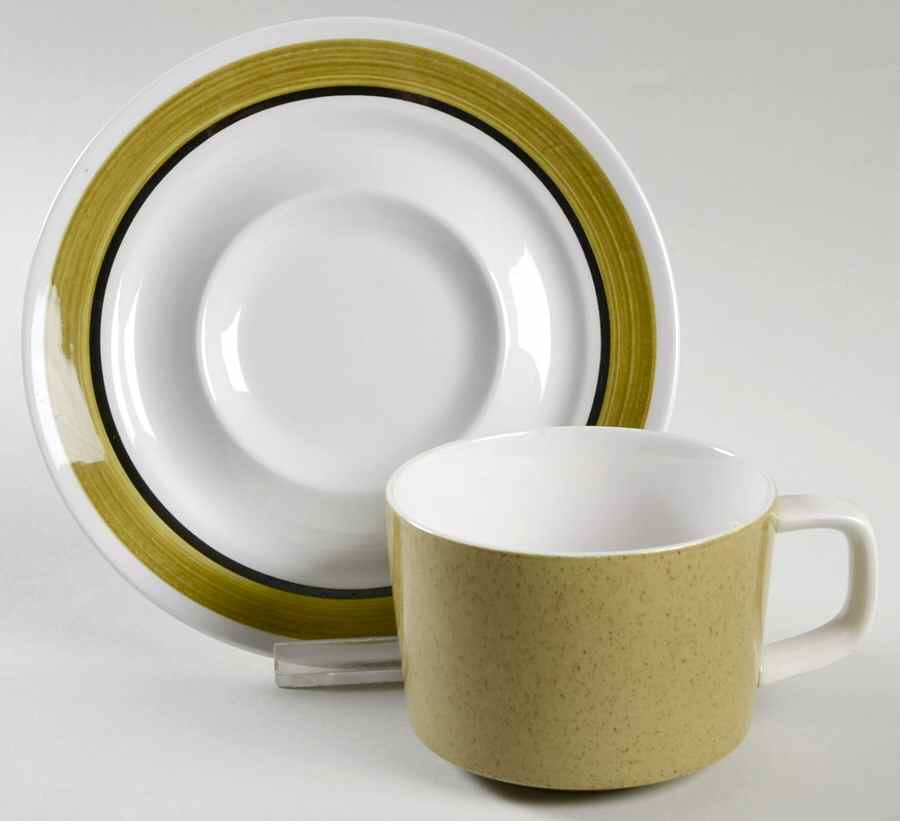 Spanish Moss Flat Cup & Saucer Set by Mikasa-1