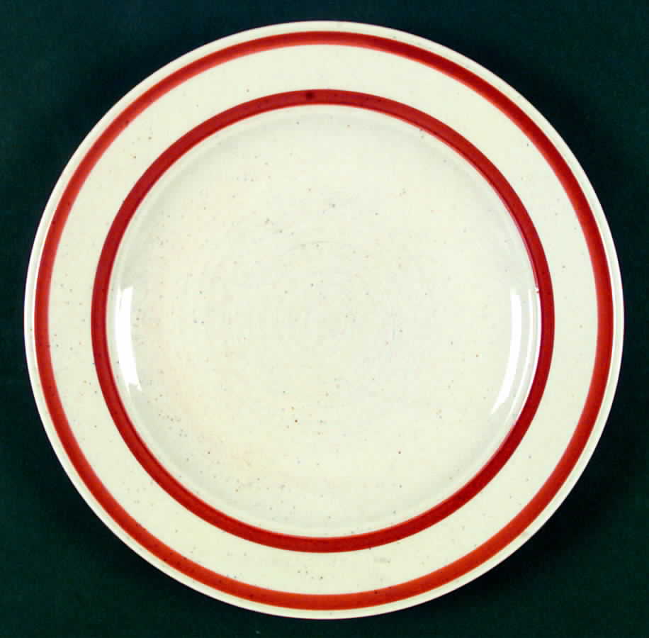 Spiced Pumpkin Dinner Plate by Mikasa-1