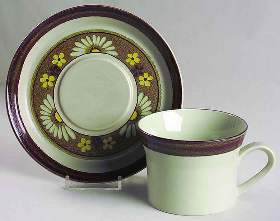Stoneflower Flat Cup & Saucer Set by Mikasa-1