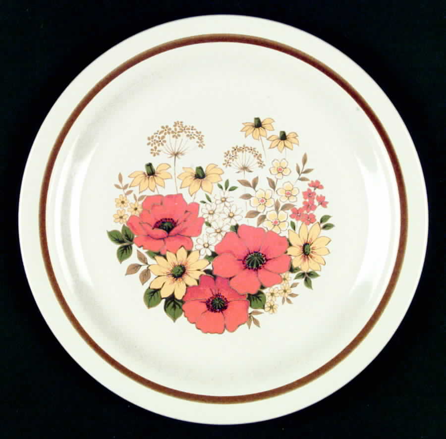 Sunny Brook Dinner Plate by Mikasa-1