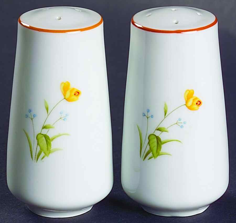 Summer Melody Salt & Pepper Set by Mikasa-1