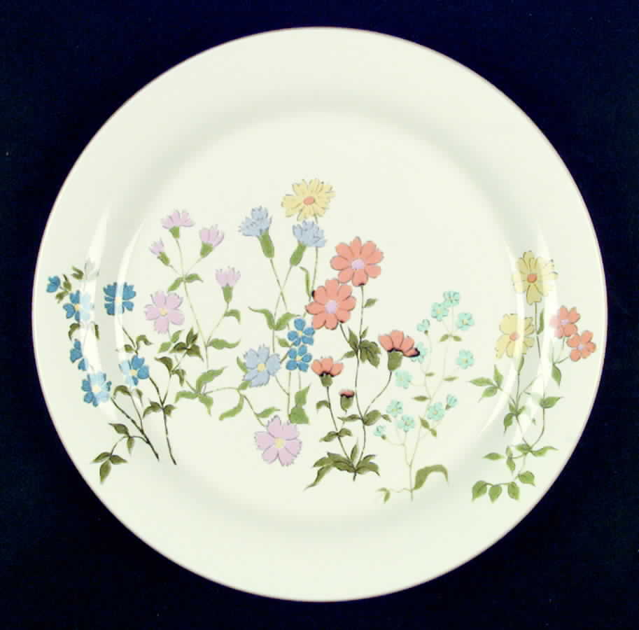 Sunny Path Dinner Plate by Mikasa-1