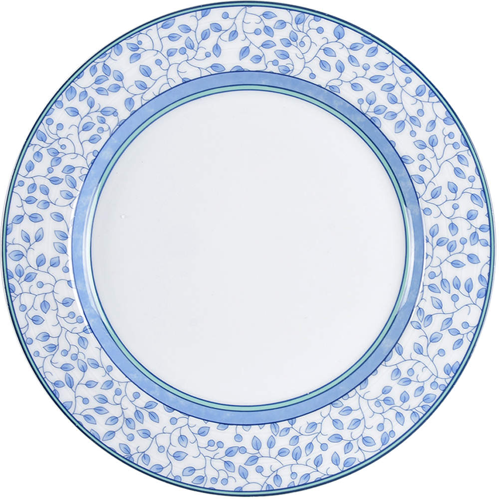Susanne Dinner Plate by Mikasa-1