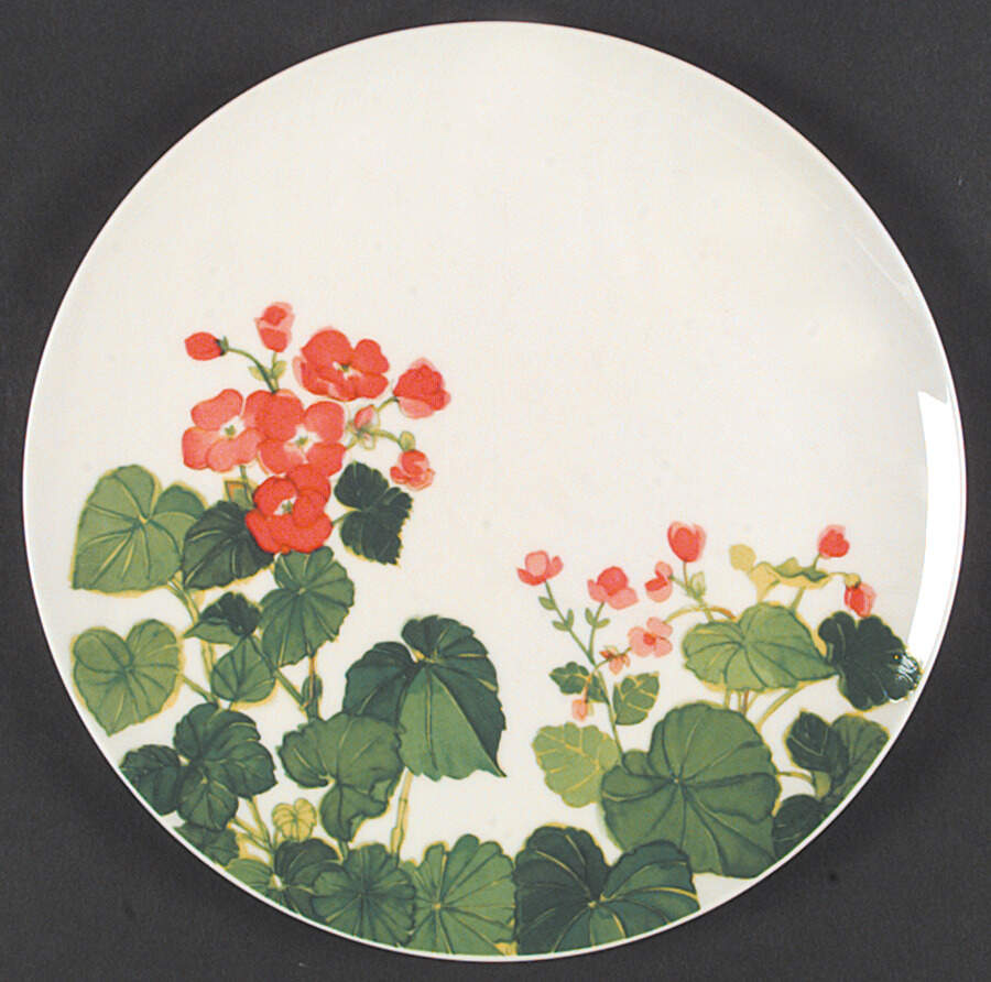 Sunny Window Dinner Plate by Mikasa-1