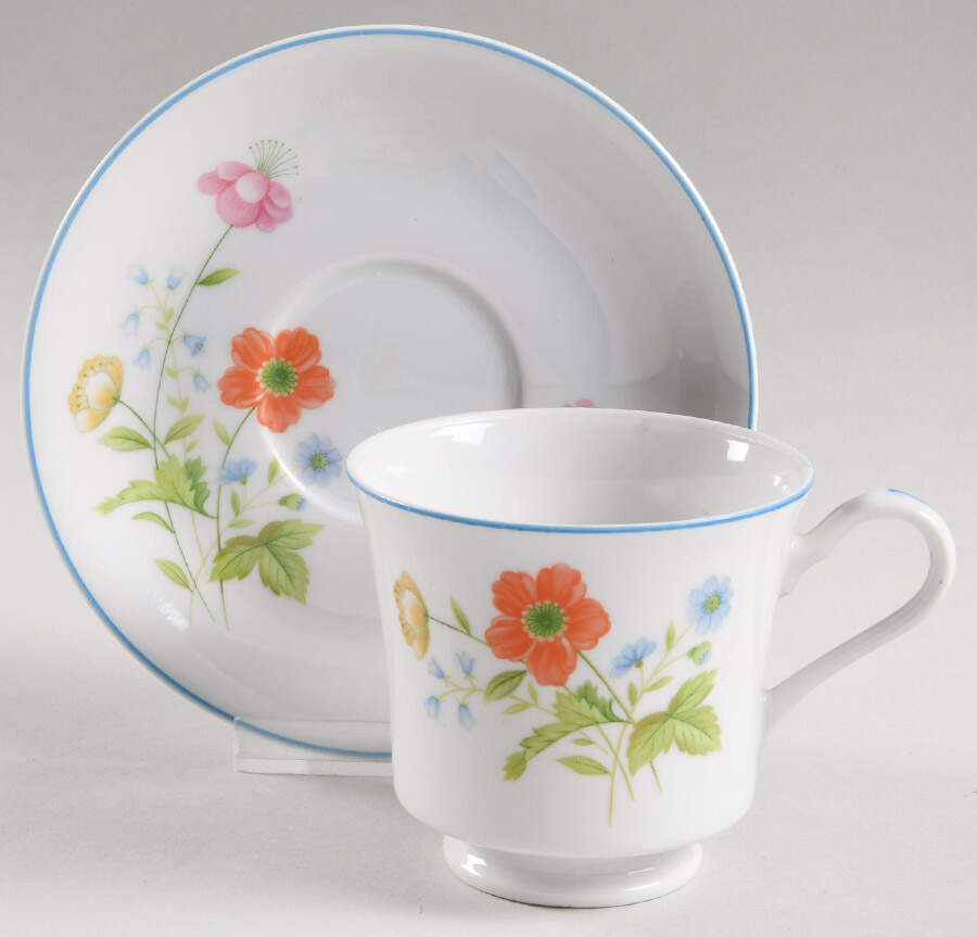 Tea Garden Footed Cup & Saucer Set by Mikasa-1