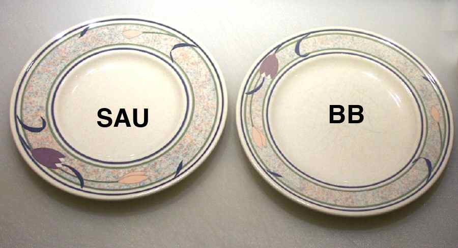 Tropical Island Bread & Butter Plate by Mikasa-1