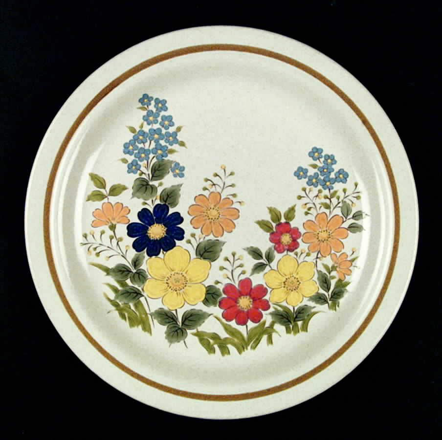 Tropicana Dinner Plate by Mikasa-1