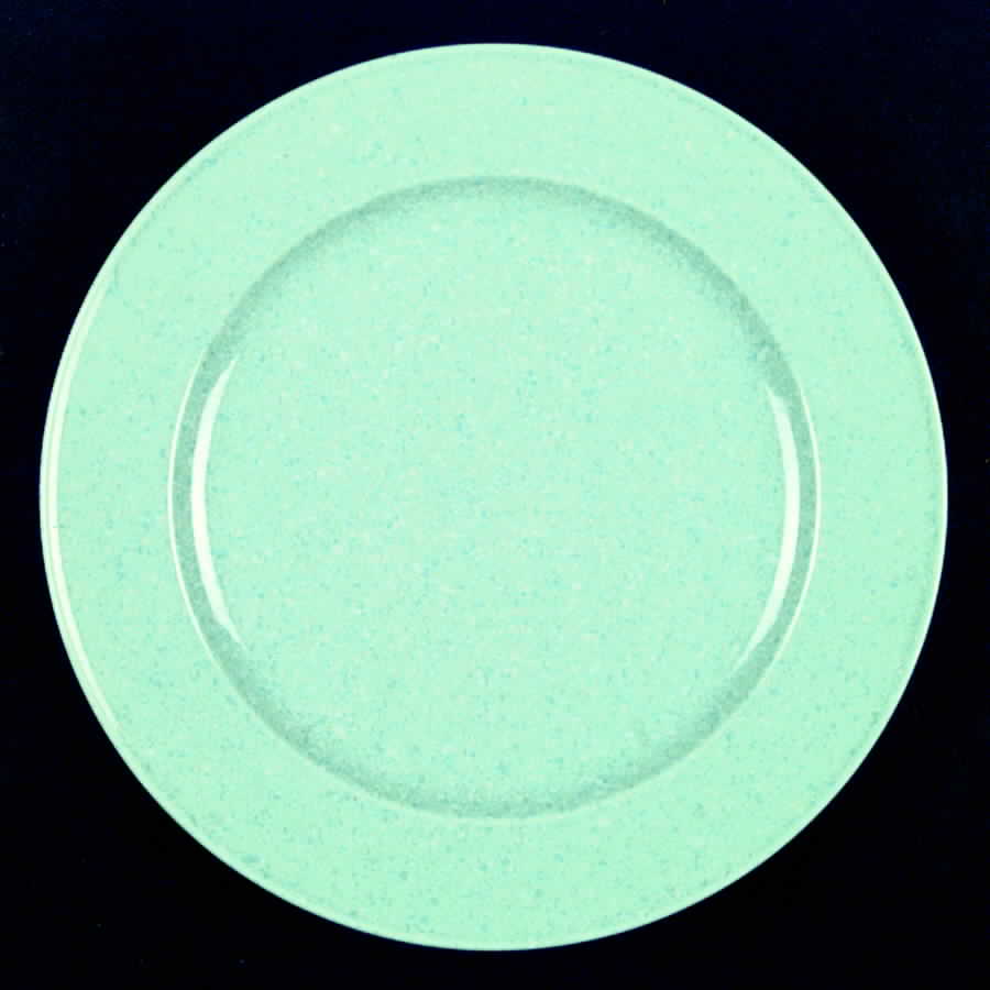 Ultrastone Sea Green Dinner Plate by Mikasa-1