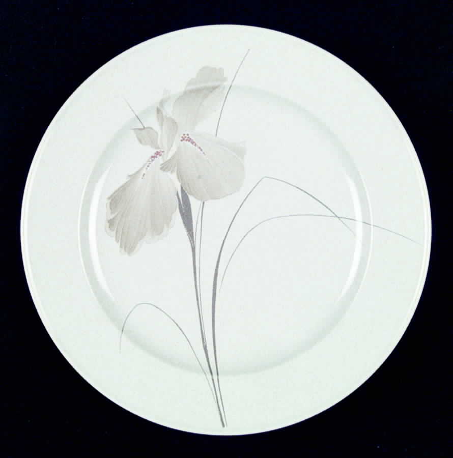 Upscale Dinner Plate by Mikasa-1