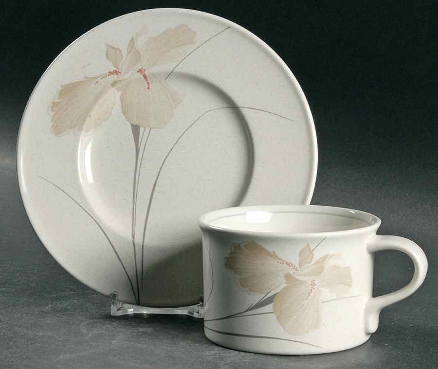 Upscale Flat Cup & Saucer Set by Mikasa-1