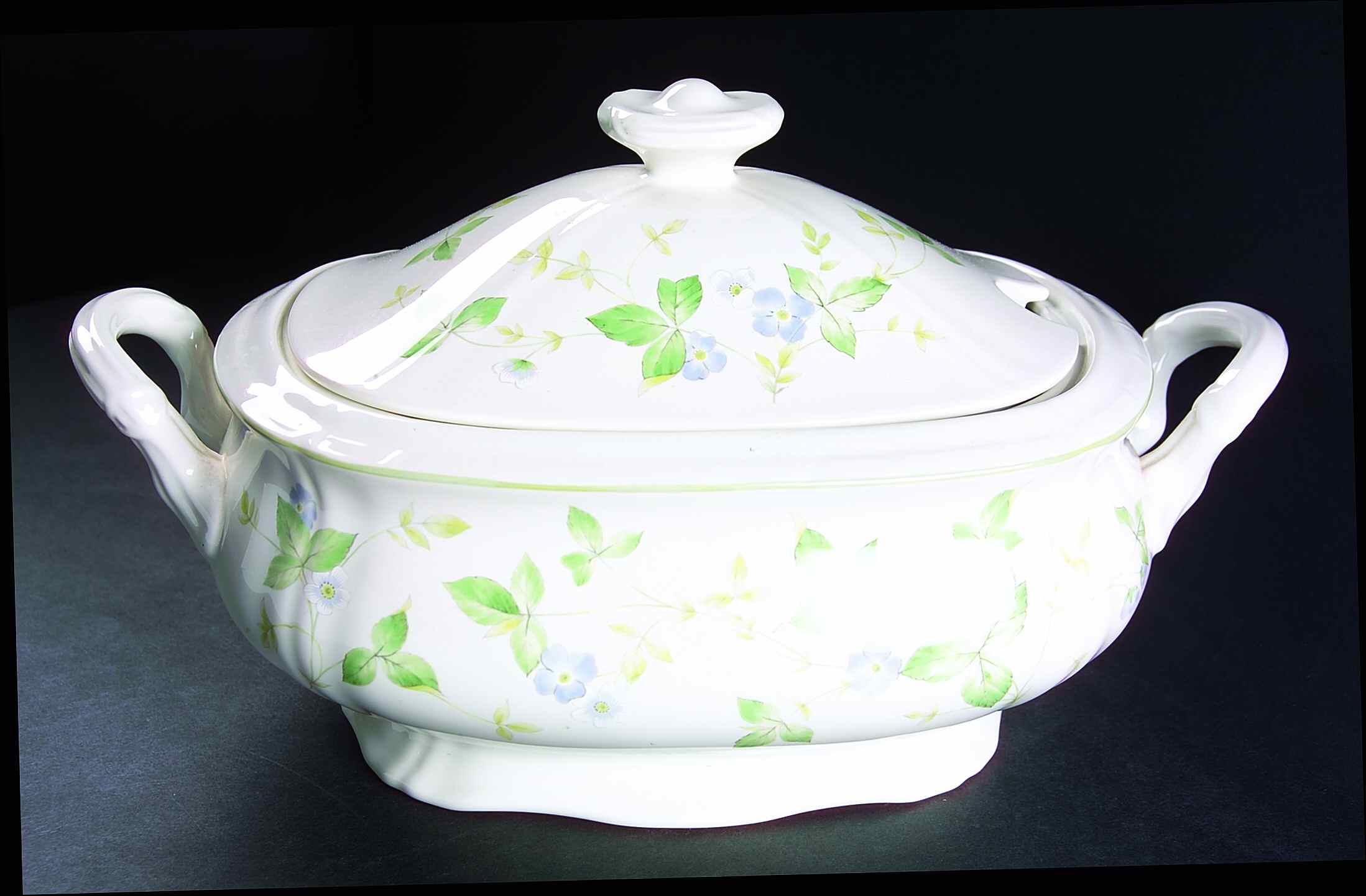 Violetta Tureen &  Lid by Mikasa-1