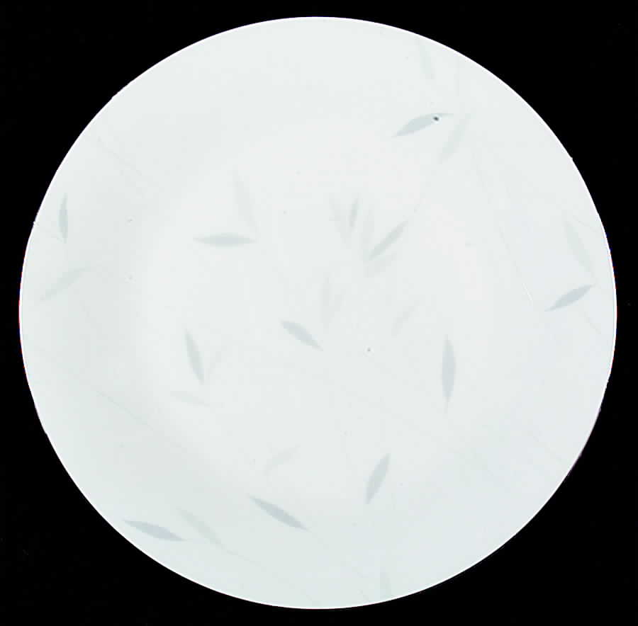 Windswept Salad Plate by Mikasa-1