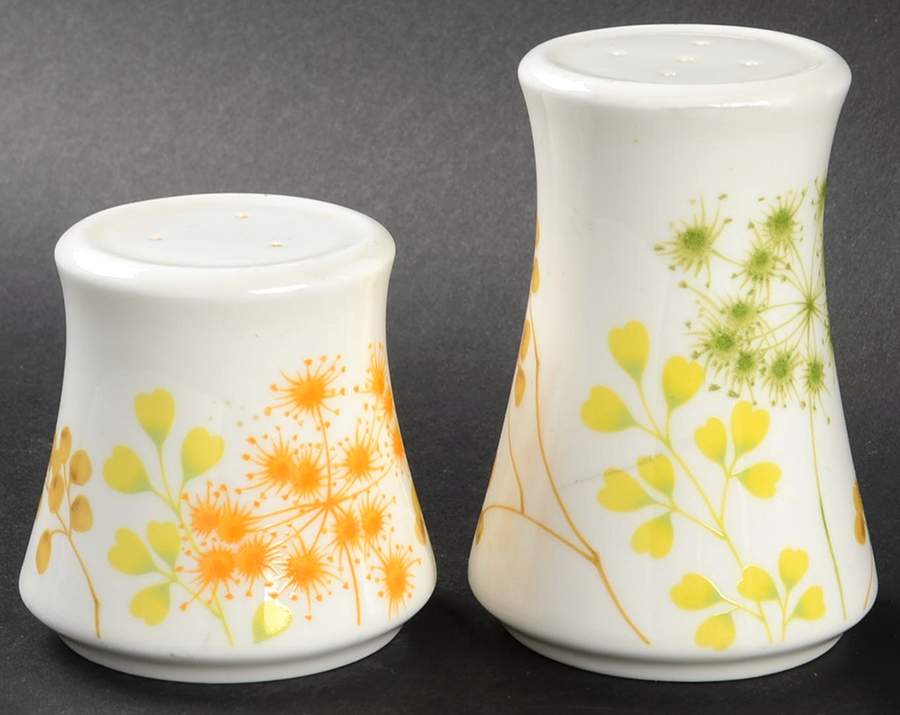 Woodcliff Salt & Pepper Set by Mikasa-1