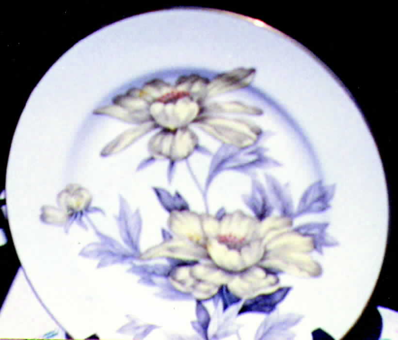 MIM1 Dinner Plate by Mimosa-1