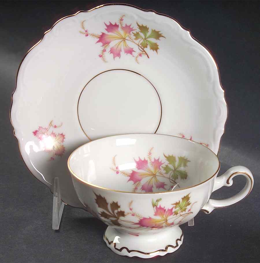 Autumn Leaves Footed Cup & Saucer Set by Mitterteich-1