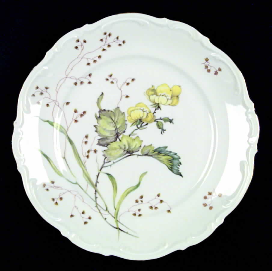 Flandre Dinner Plate by Mitterteich-1