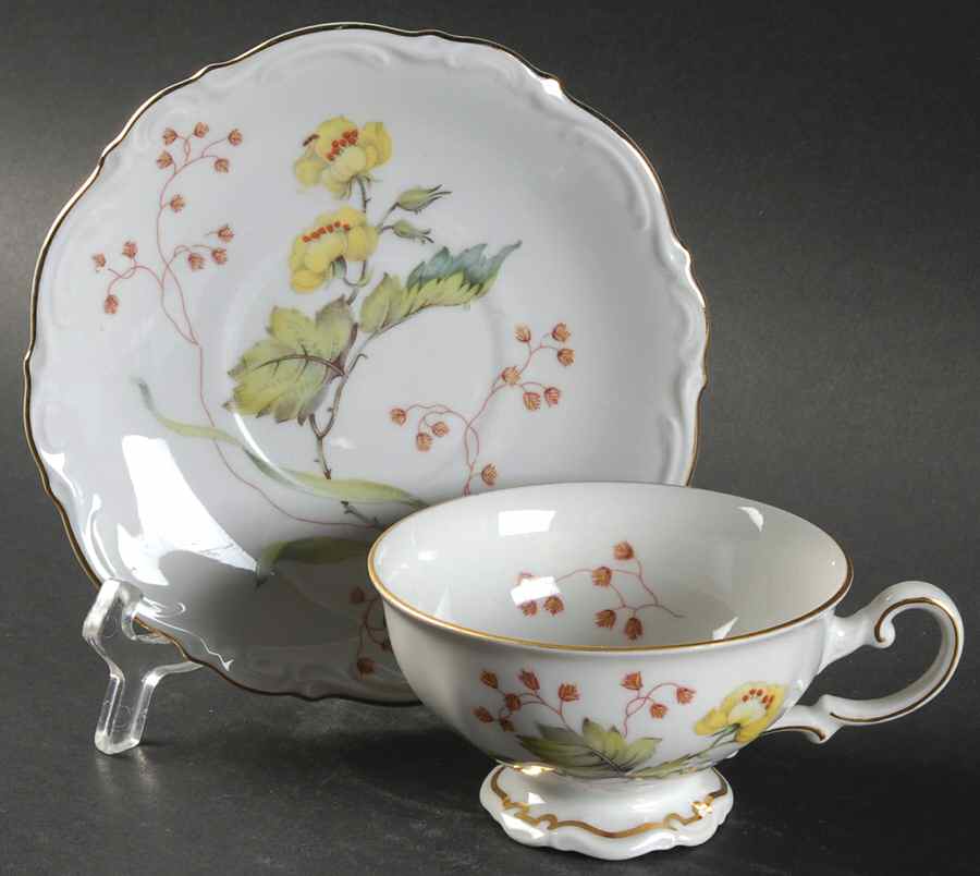 Flandre Footed Cup & Saucer Set by Mitterteich-1