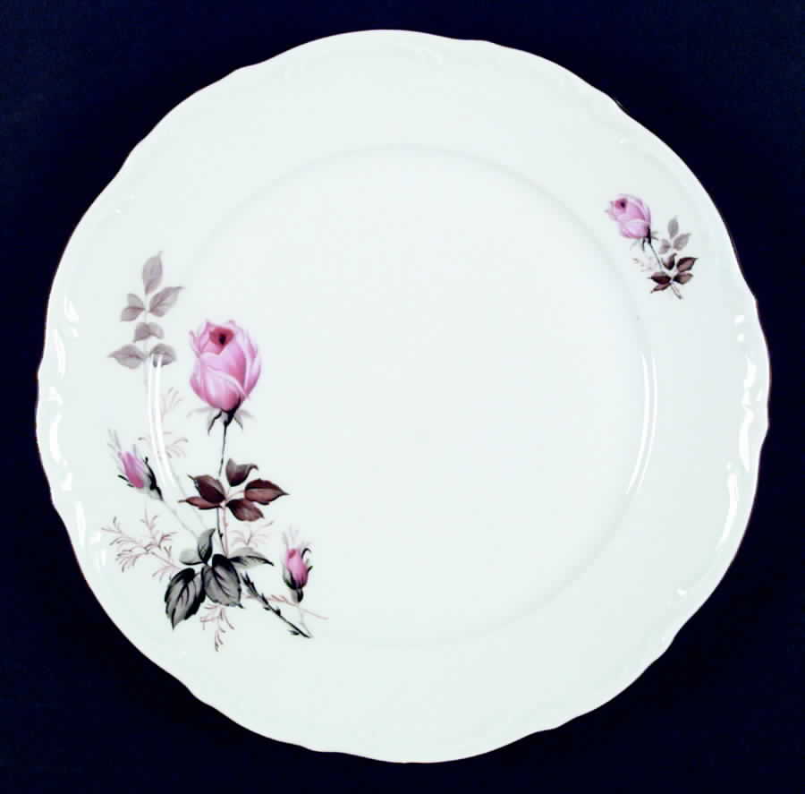 MIT1 Dinner Plate by Mitterteich-1