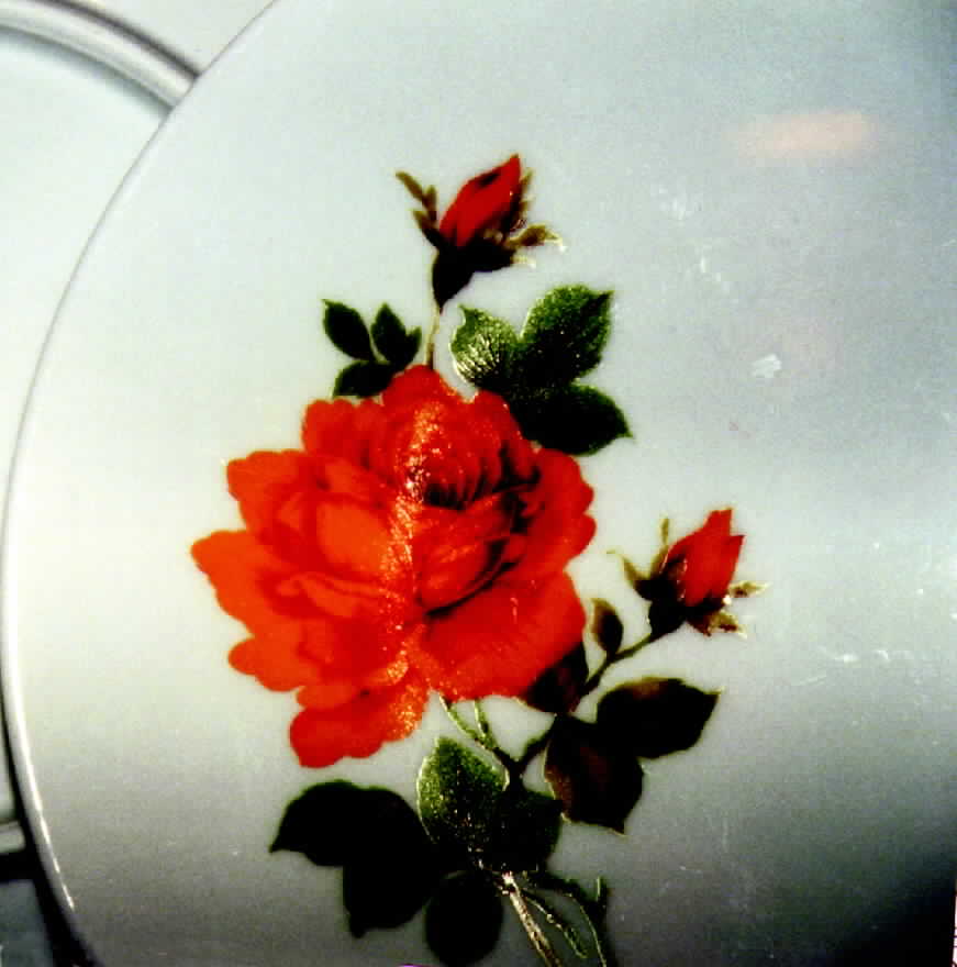 MIT18 Dinner Plate by Mitterteich-1