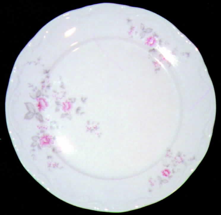 MIT21 Dinner Plate by Mitterteich-1