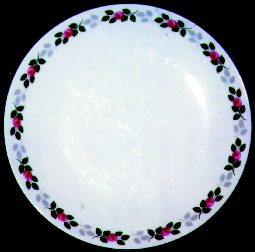 MIT28 Dinner Plate by Mitterteich-1