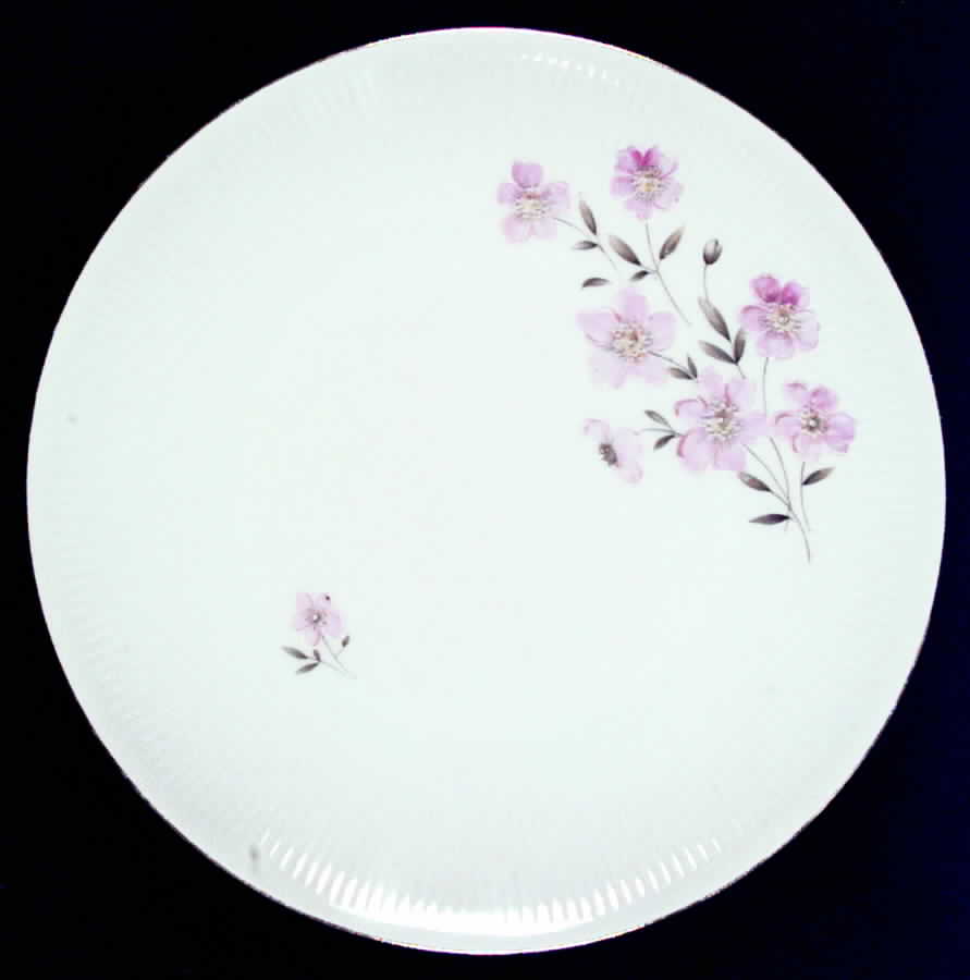 MIT31 Dinner Plate by Mitterteich-1