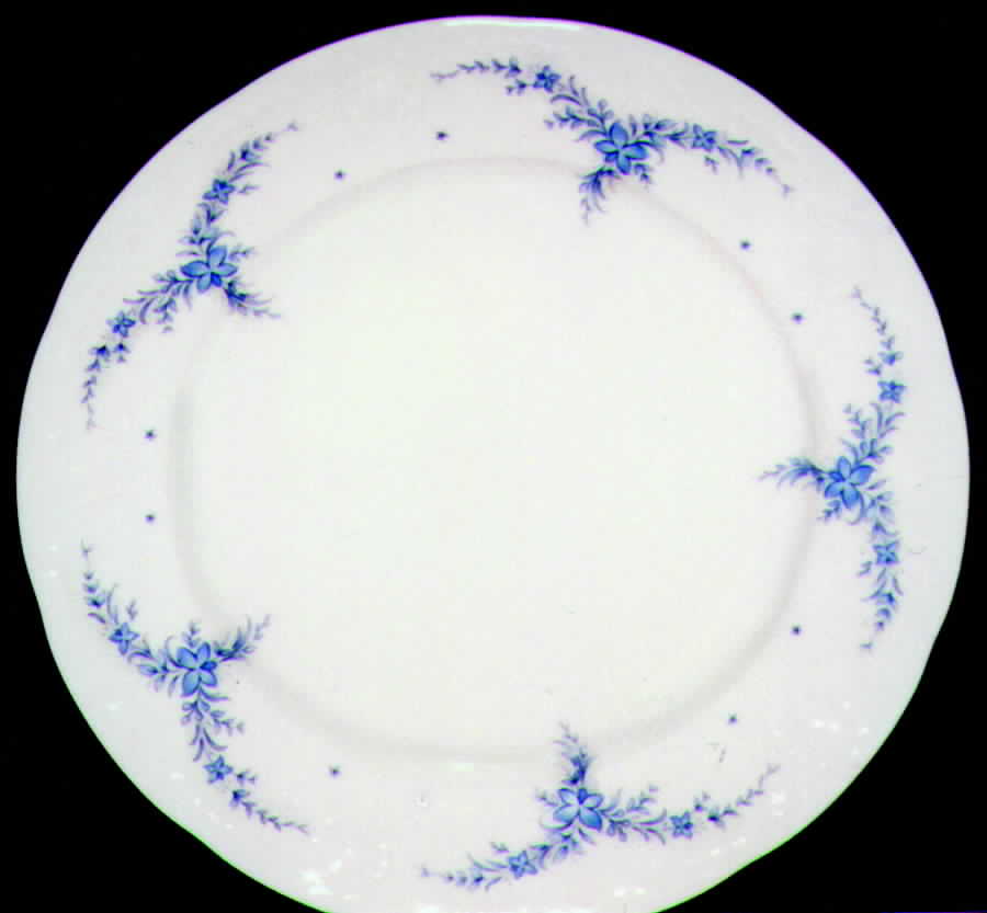 MIT55 Dinner Plate by Mitterteich-1
