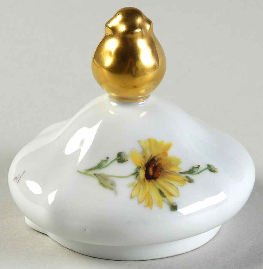 Susan Lid for Coffee Pot by Mitterteich-1