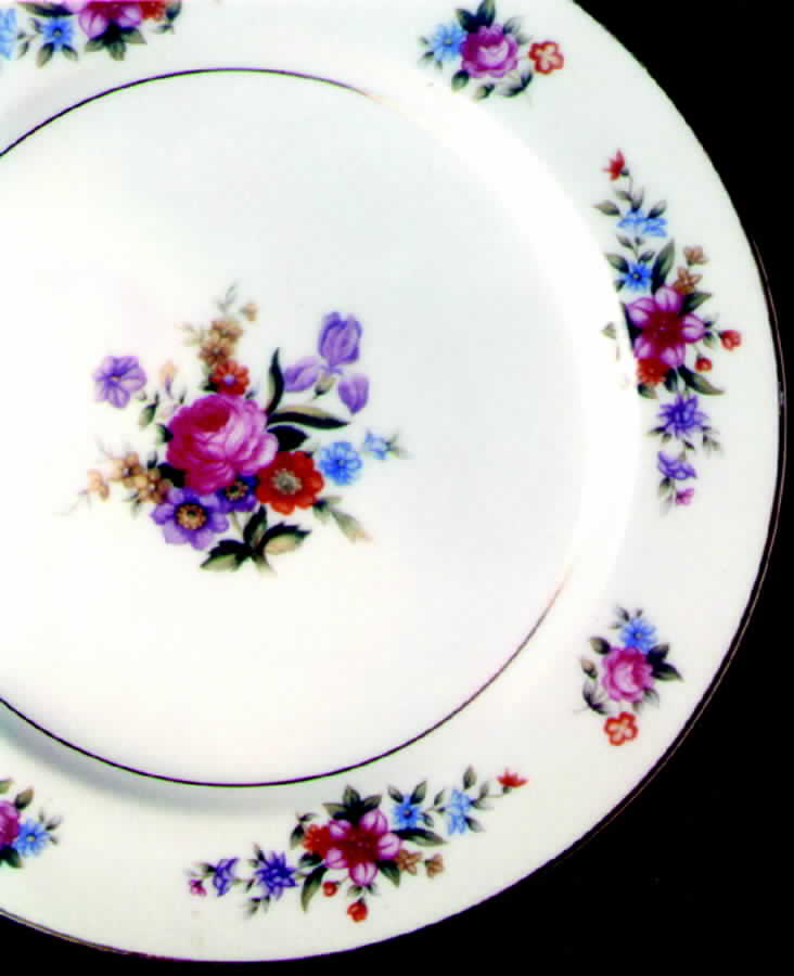 MKU2 Dinner Plate by Mikuni-1