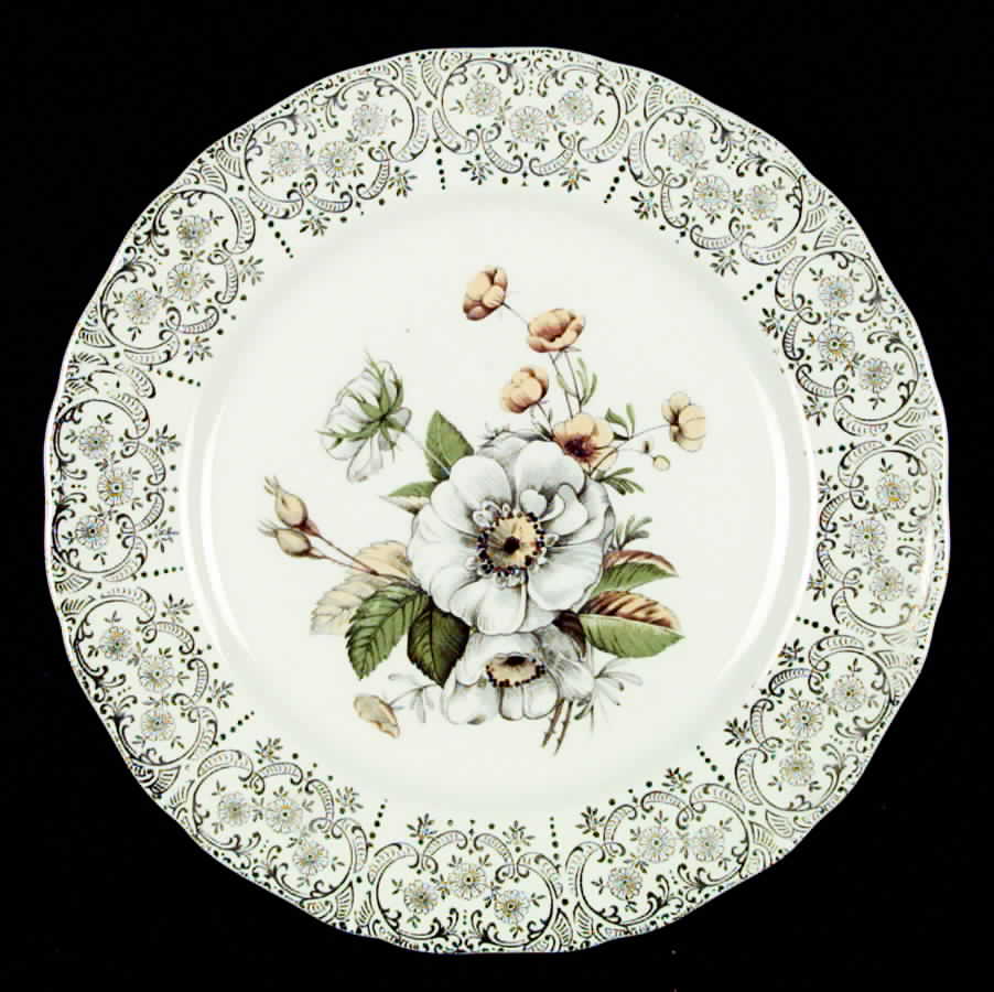 MNR4 Dinner Plate by Mount Clemens-1