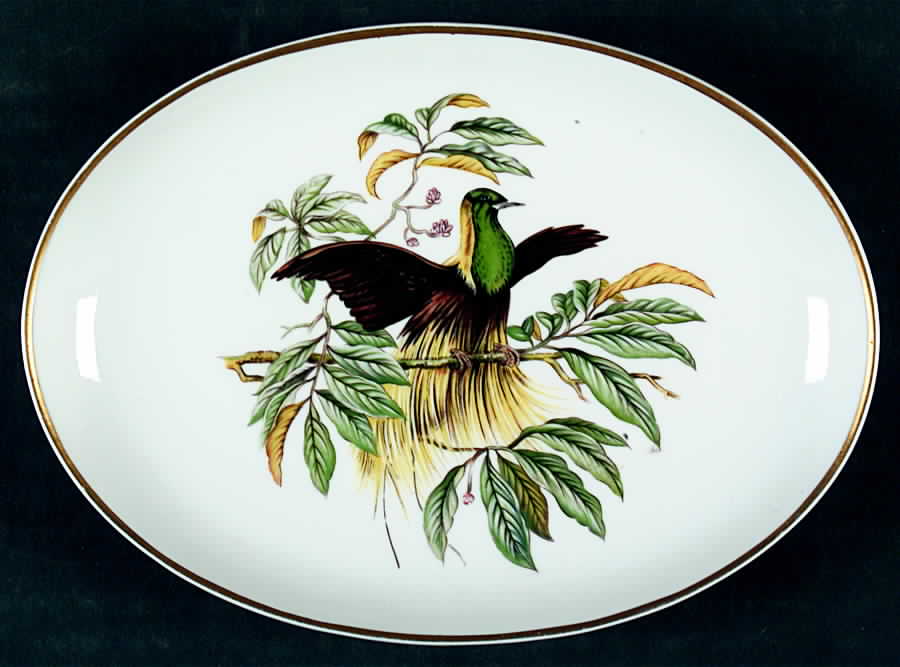 Bird of Paradise Bone Dish by Mottahedeh-1