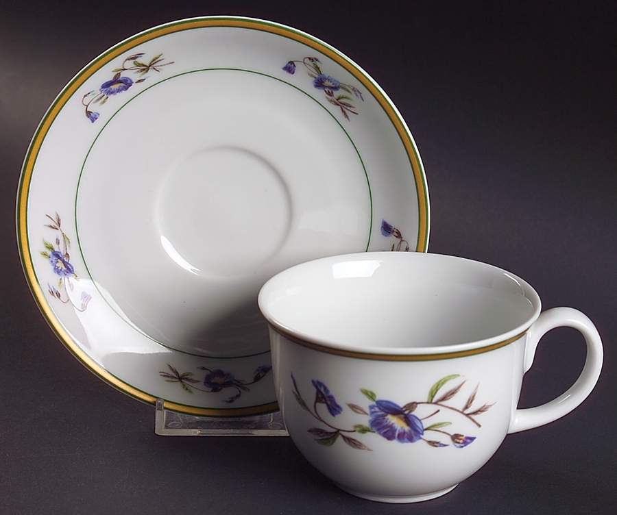 Charleston Flowers Flat Cup & Saucer Set by Mottahedeh-1