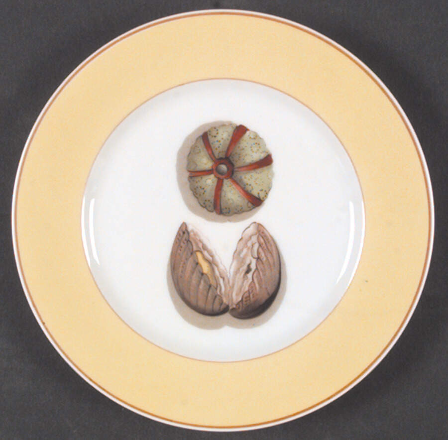 Fruits of The Sea Bread & Butter Plate by Mottahedeh-1