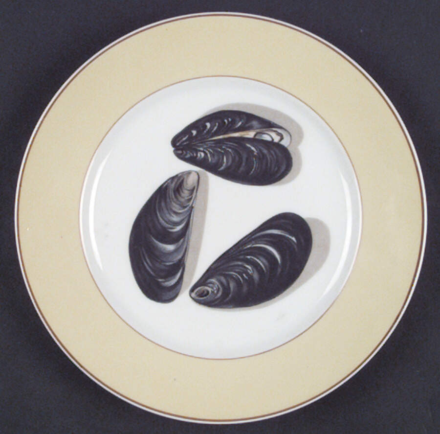 Fruits of The Sea Salad/Dessert Plate by Mottahedeh-1