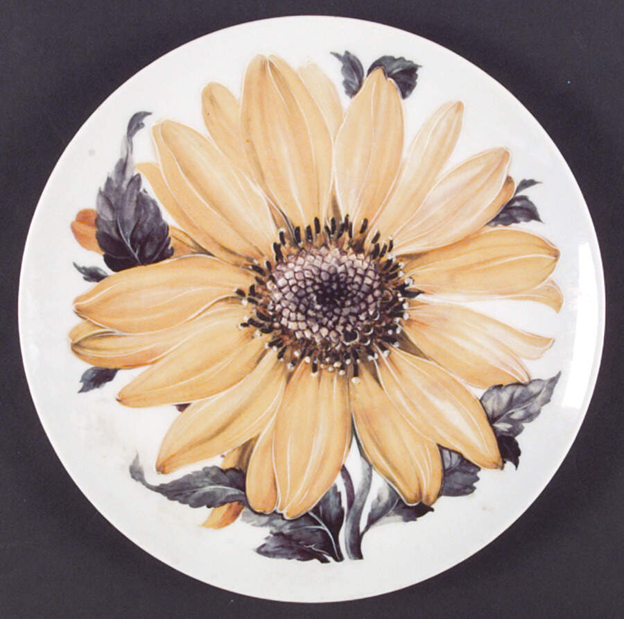 MOT3 Dinner Plate by Mottahedeh-1